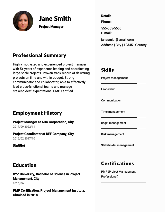 Project Manager Resume Example
